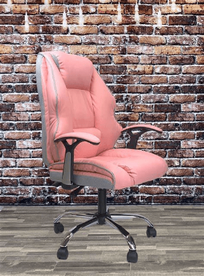 Padded Executive Office Chair