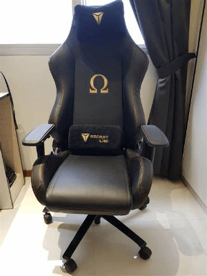 Secretlab Omega Chair