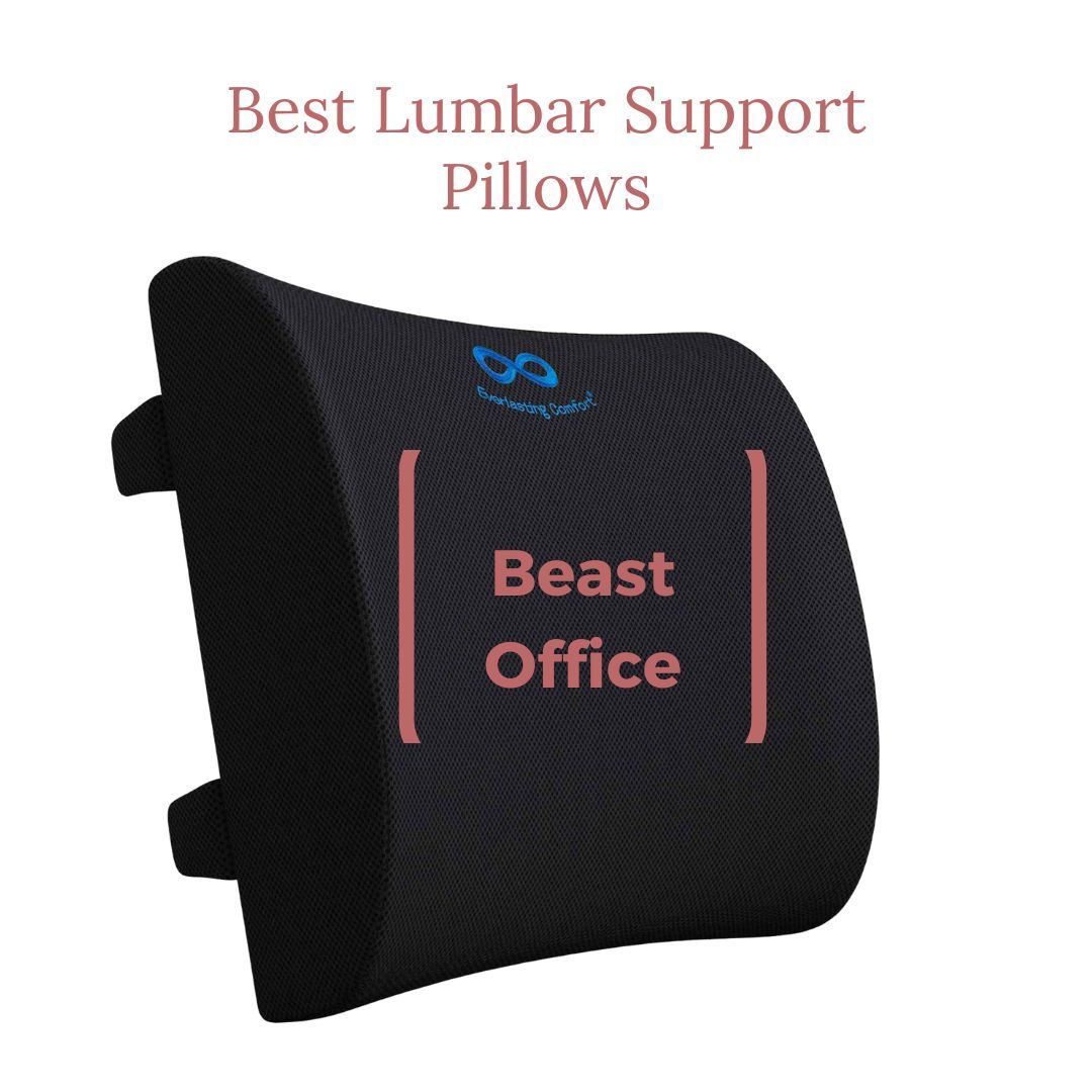 5 Best Lumbar Support Pillows 